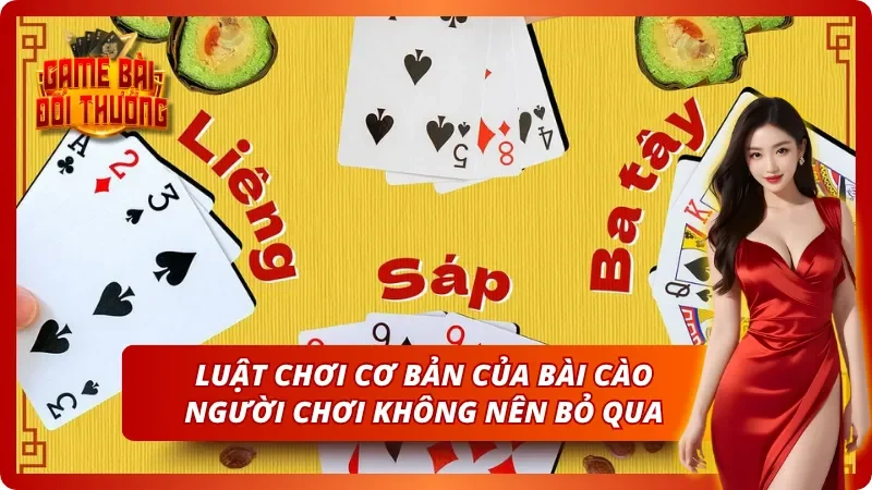 Hiểu nền tảng để chơi hiệu quả hơn khi tham gia game bài cào