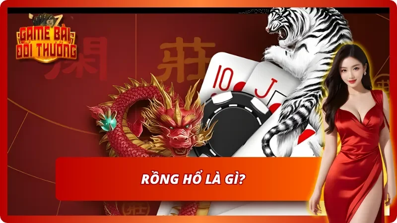 Giới thiệu thông tin sơ lược về Rồng Hổ