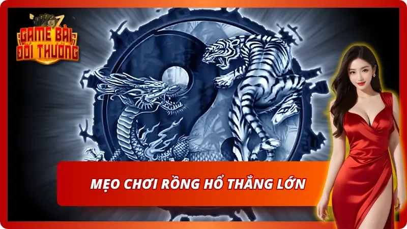 Một vài kinh nghiệm chơi Rồng Hổ thú vị